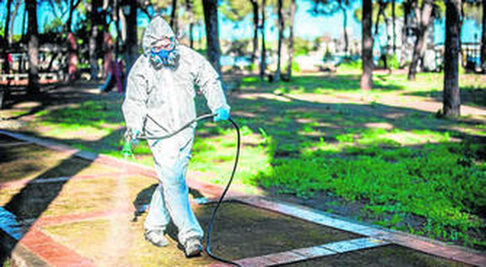 El plan de fumigación se va a extender a zonas como Punete del Río o La Curva..