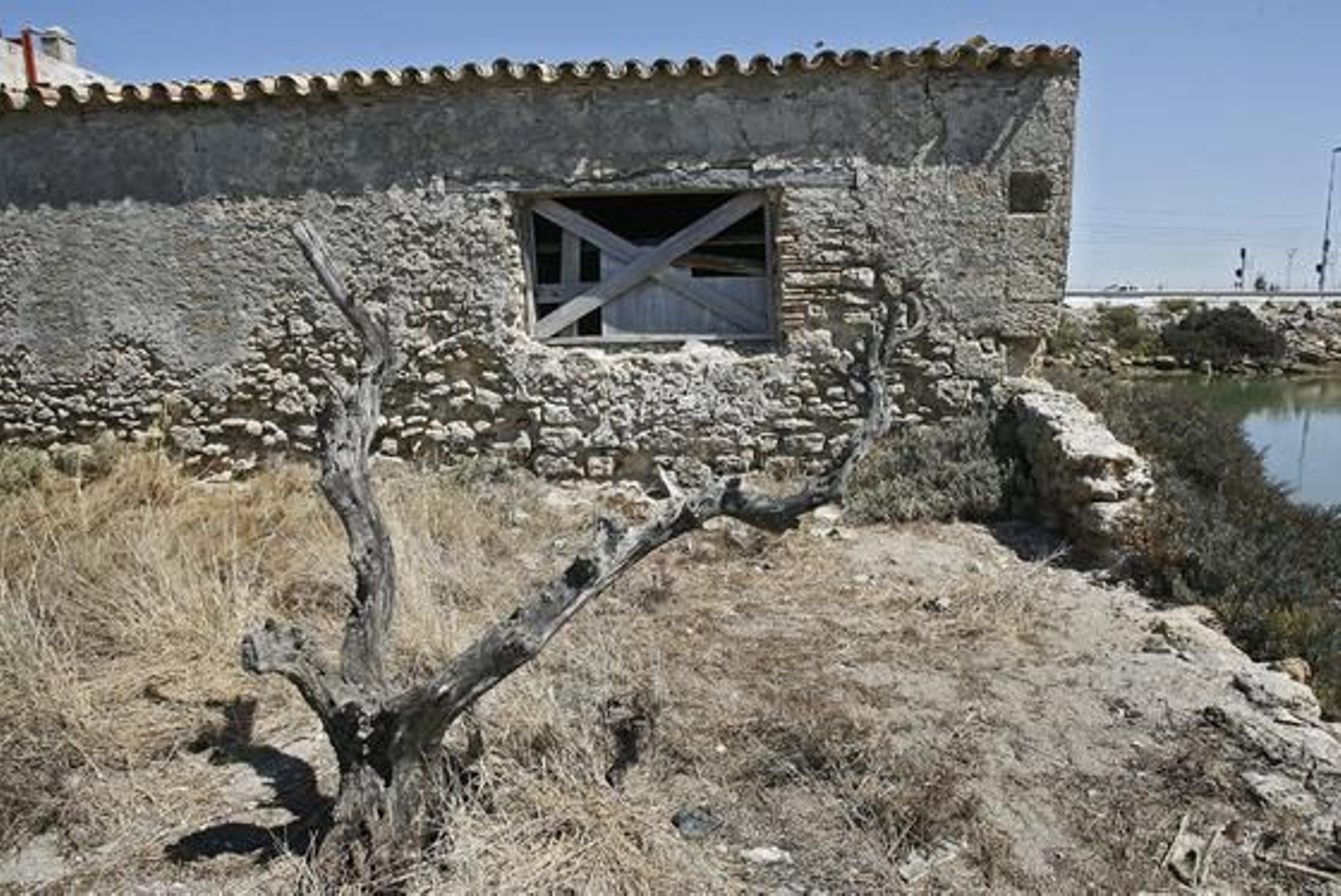 Este es el desolador aspecto que presenta actualmente el molino de mareas del río Arillo.

Foto: Joaquin Pino