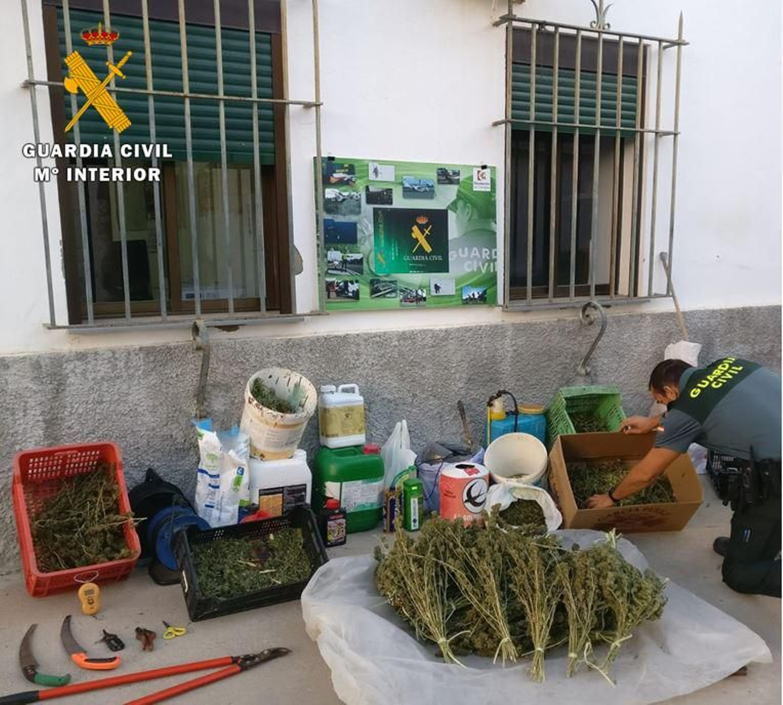 Marihuana intervenida por la Guardia Civil.