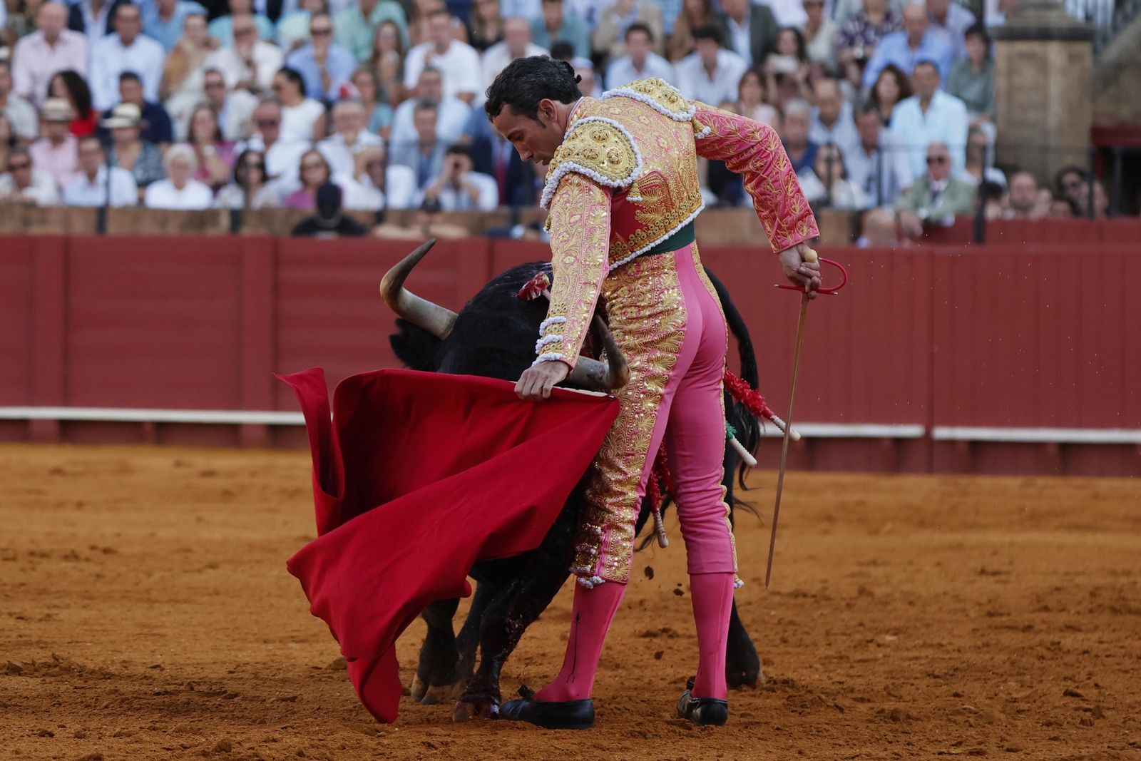 Las imágenes del primer festejo de San Miguel