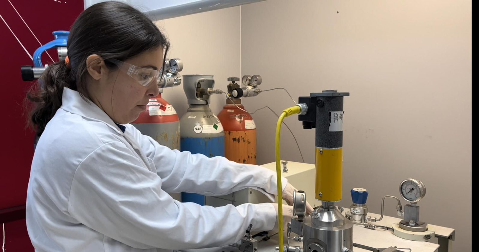 Elena Borrego durante su tesis.