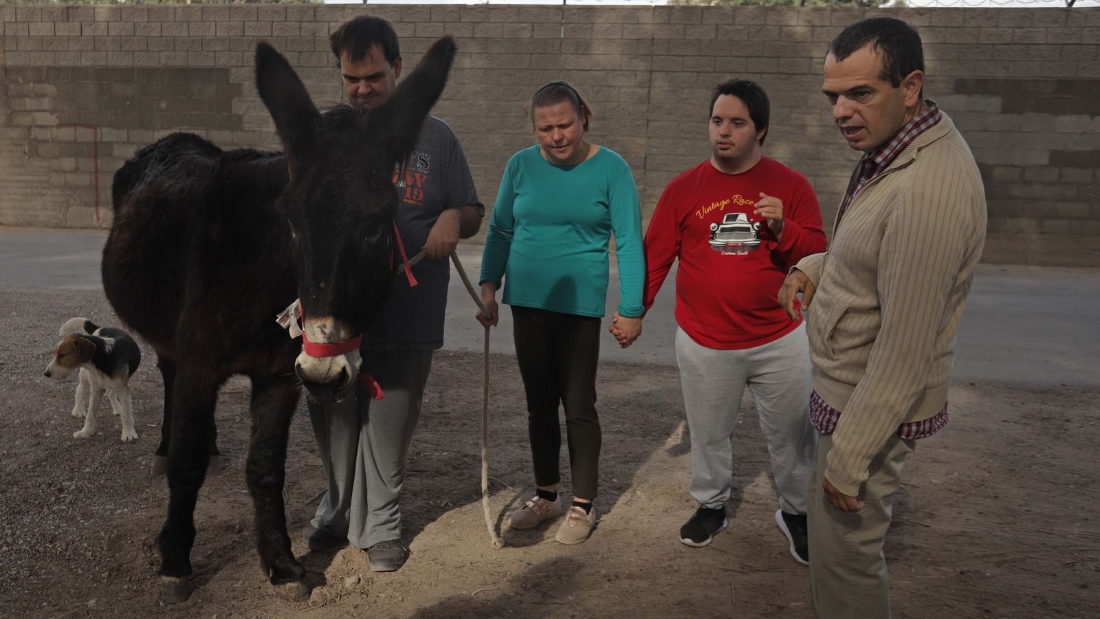 Sesión  de burroterapia con usuarios de Asansull en Palmones
