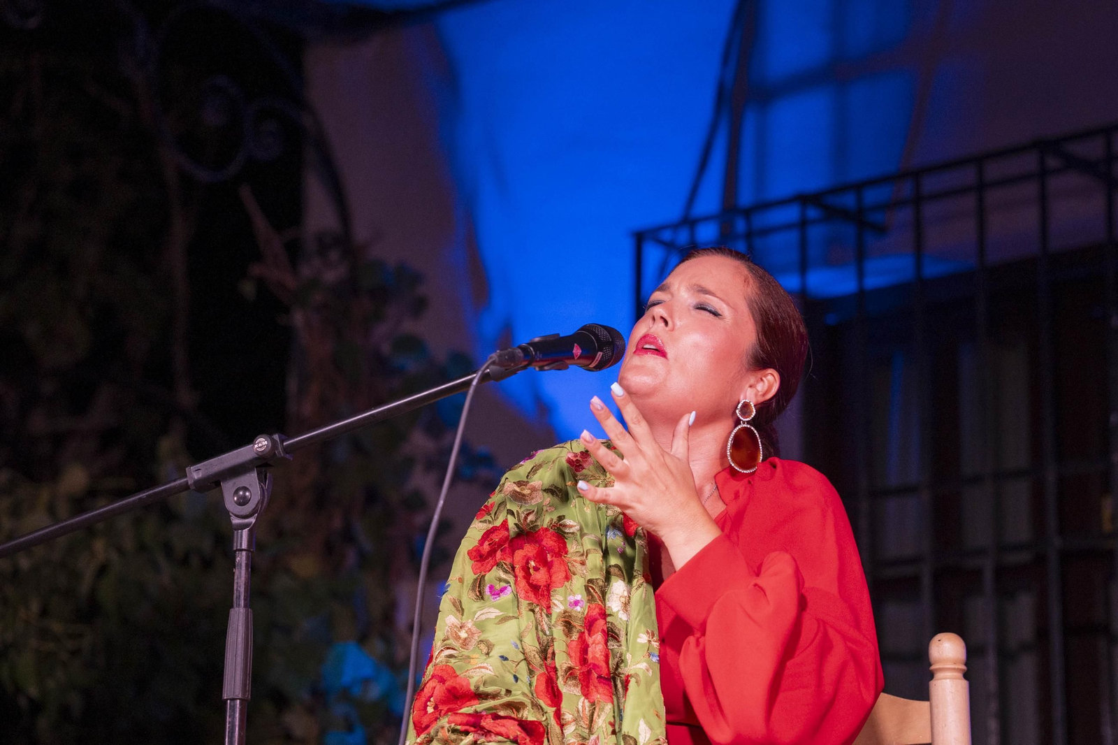 Las mejores imágenes del Festival de Flamenco en Fondón