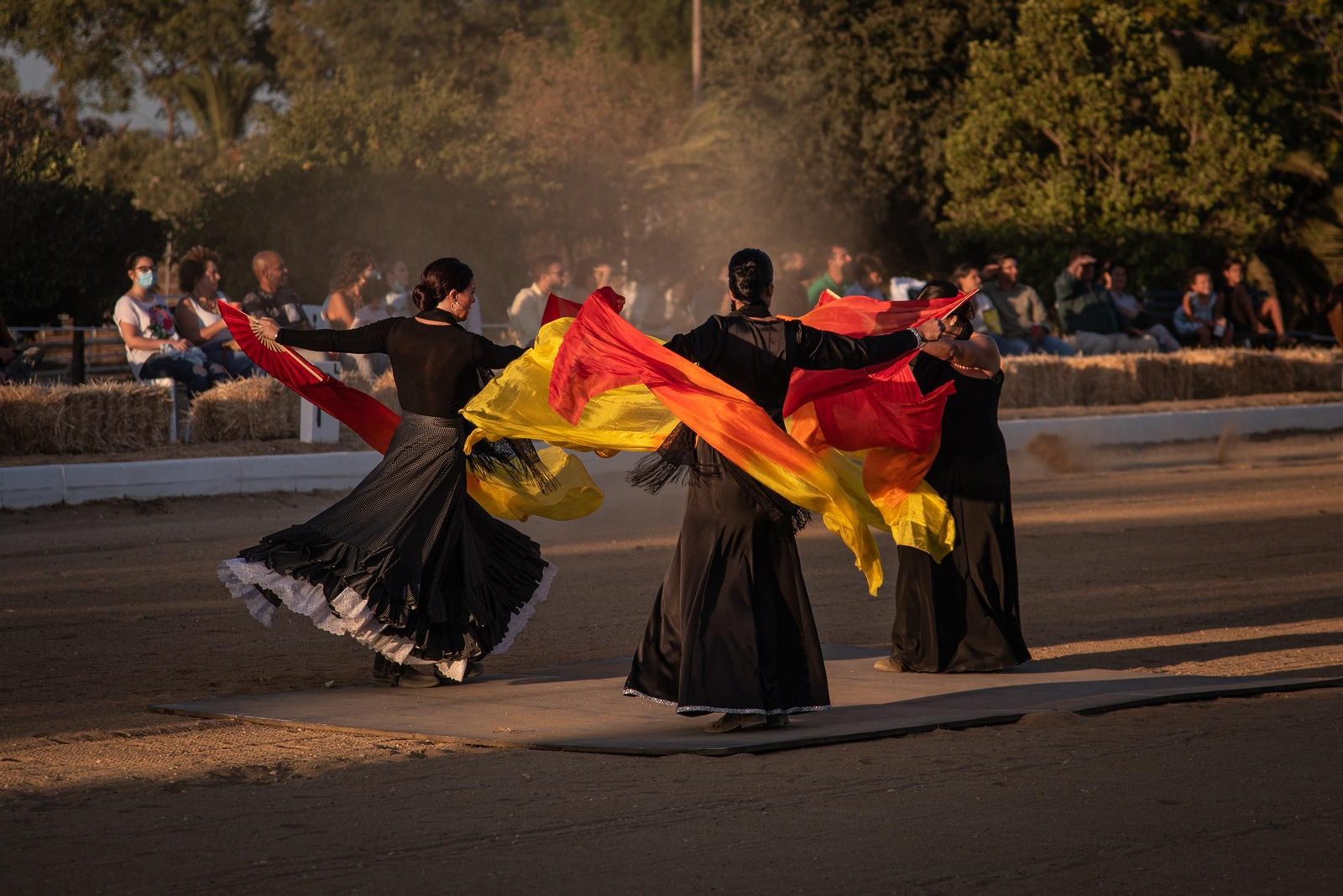 El espectáculo Flamencab en imágenes