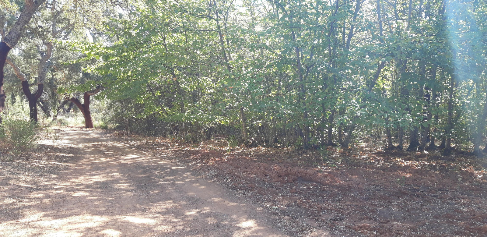 Las fotos de la Circular del Campovid