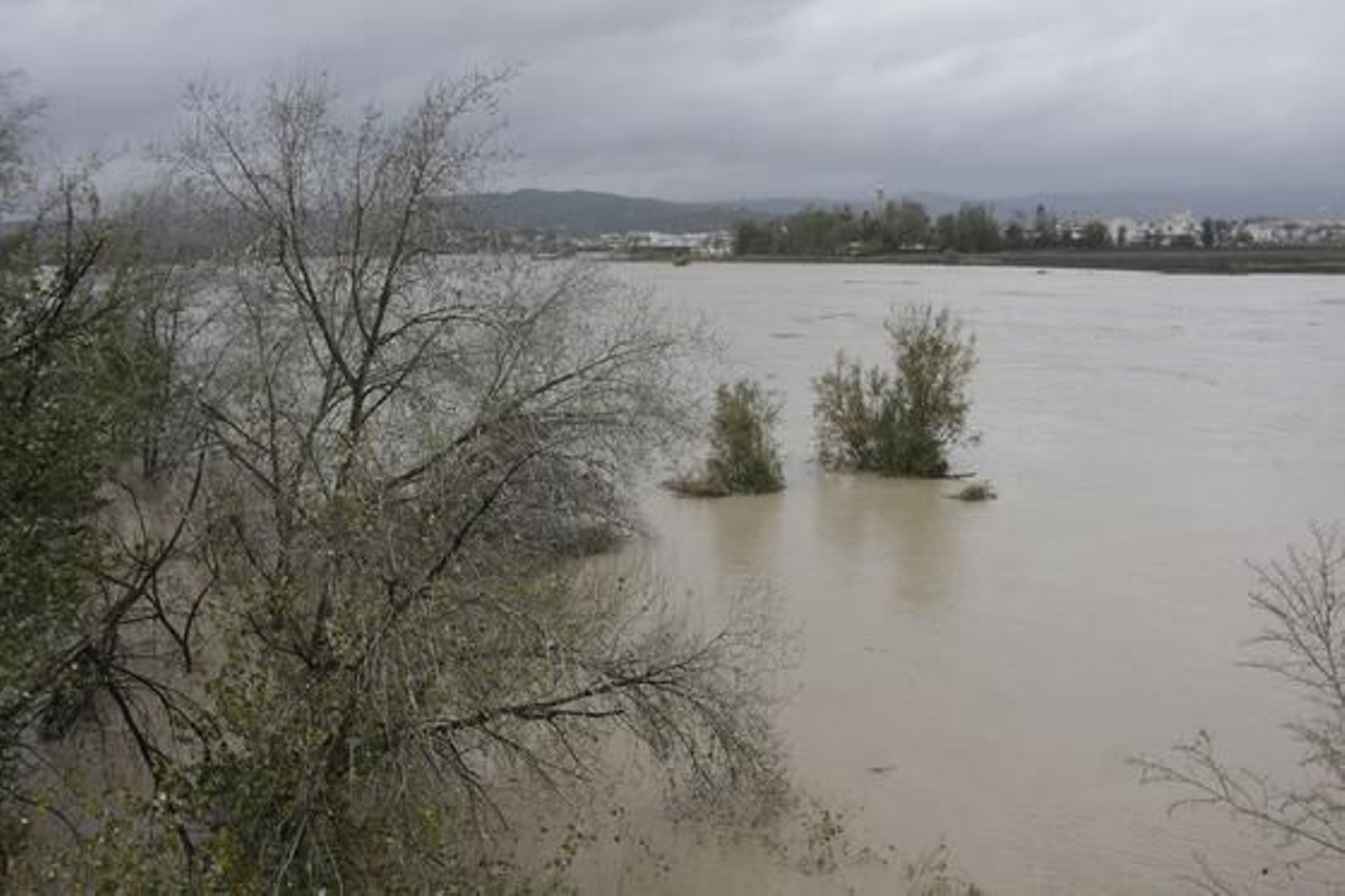 Las consecuencias de las fuertes lluvias en Lora del Río. 

Foto: José Ángel García
