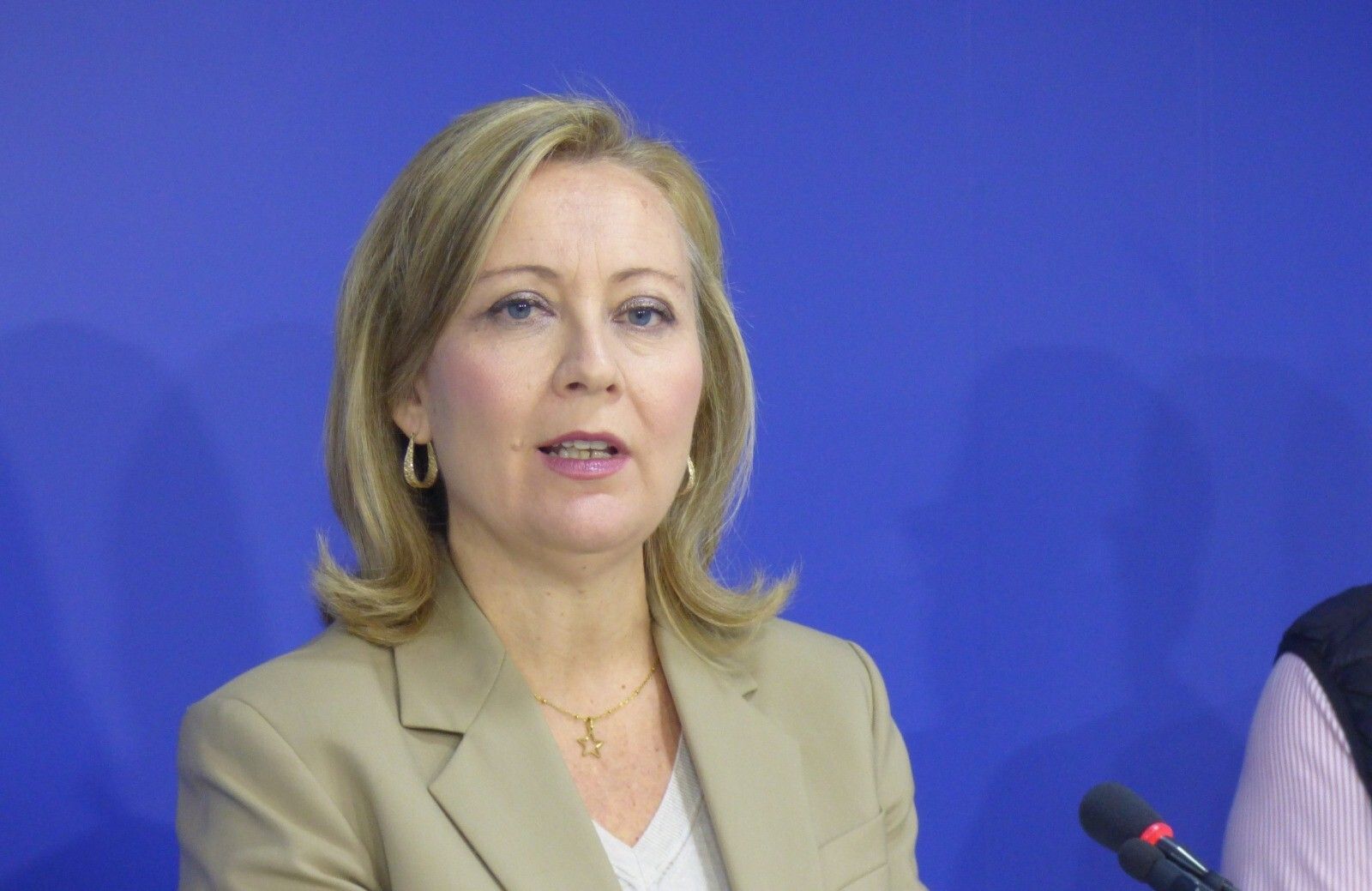 La diputada nacional del PP por Córdoba Isabel Prieto.