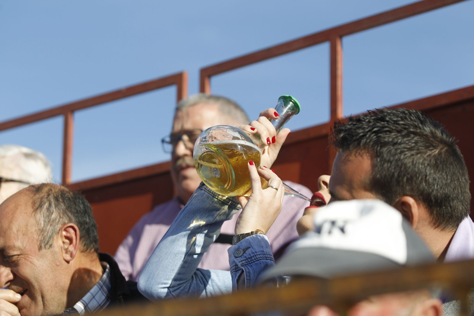 Fotogalería Festival Taurino Mixto. Fiestas de Abrucena.