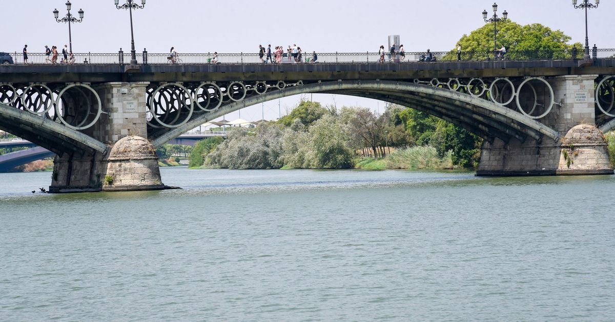 Limpieza solidaria del río Guadalquivir en beneficio del cáncer infantil en Andalucía con el proyecto Planta Zero de Andex