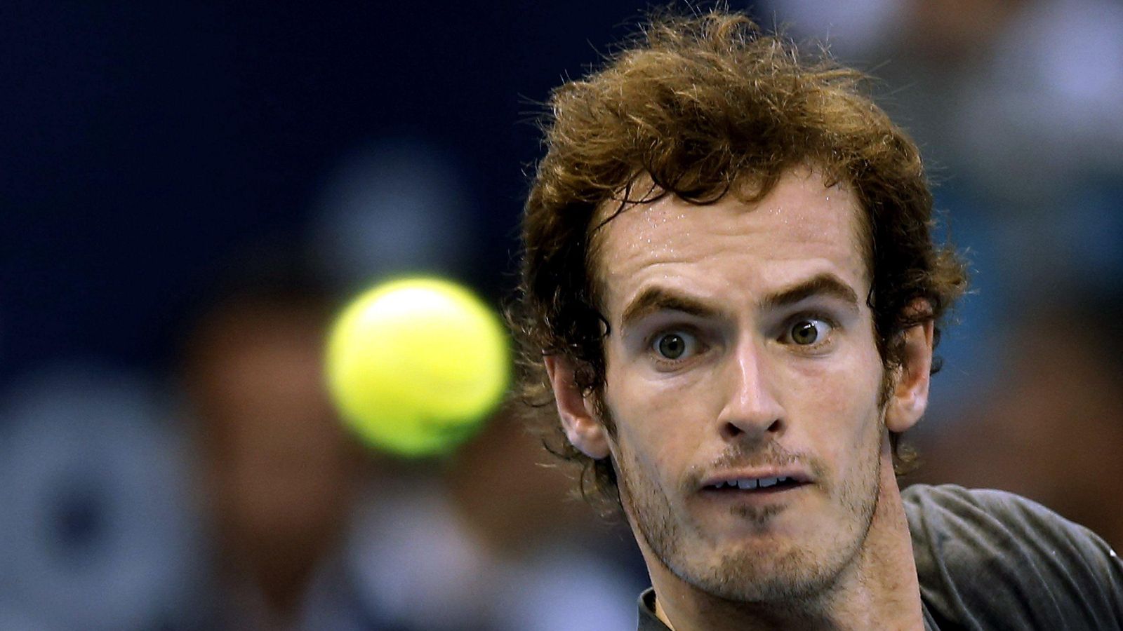 Murray observa una pelota.