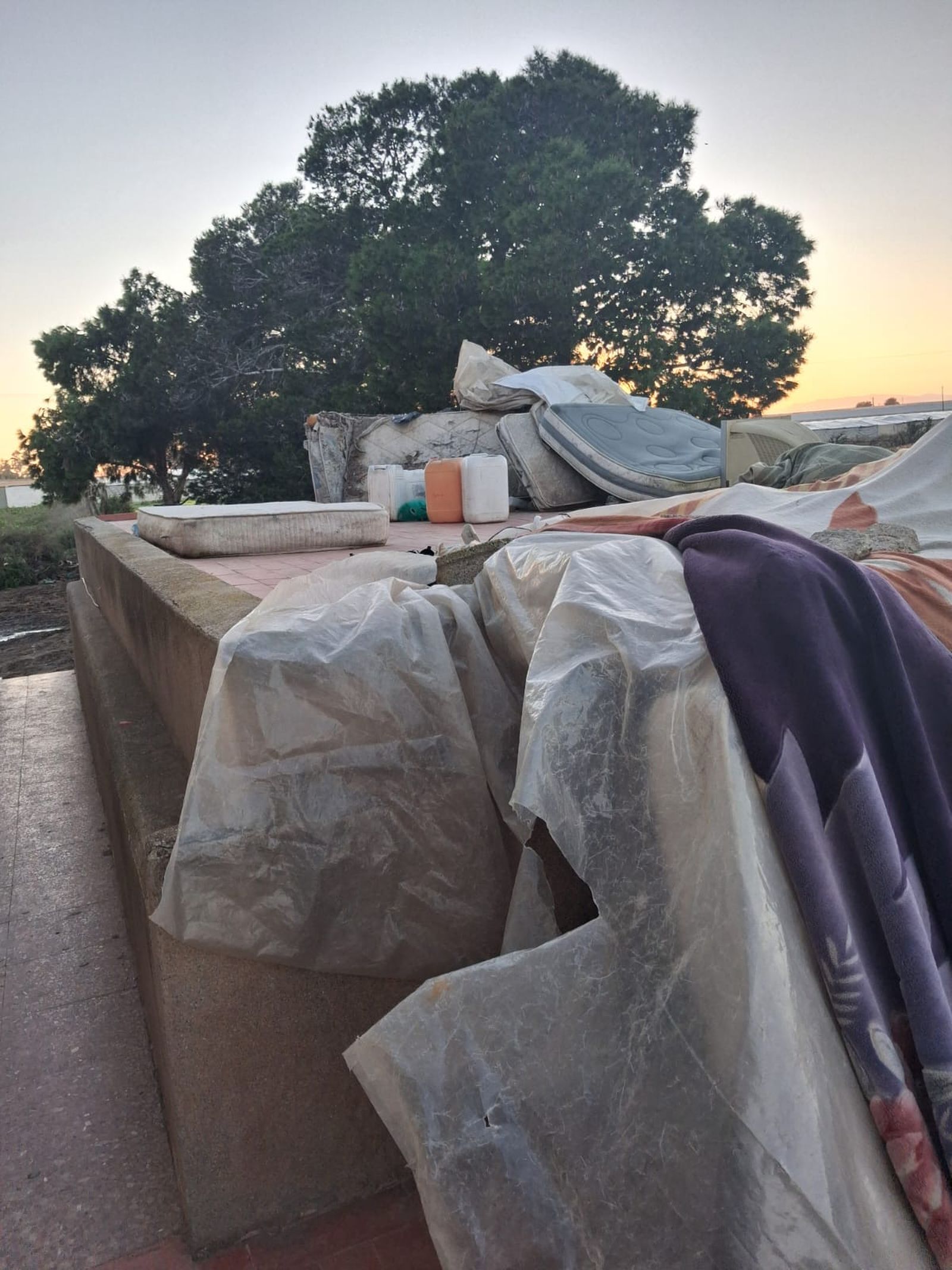 WhatsApp Image 2026-02-12 at 18.59.09 (1)