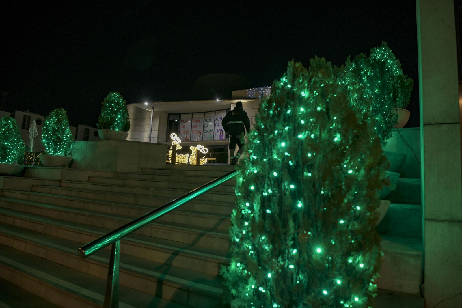 El Banco de Alimentos enciende la Navidad de Caja Rural Granada
