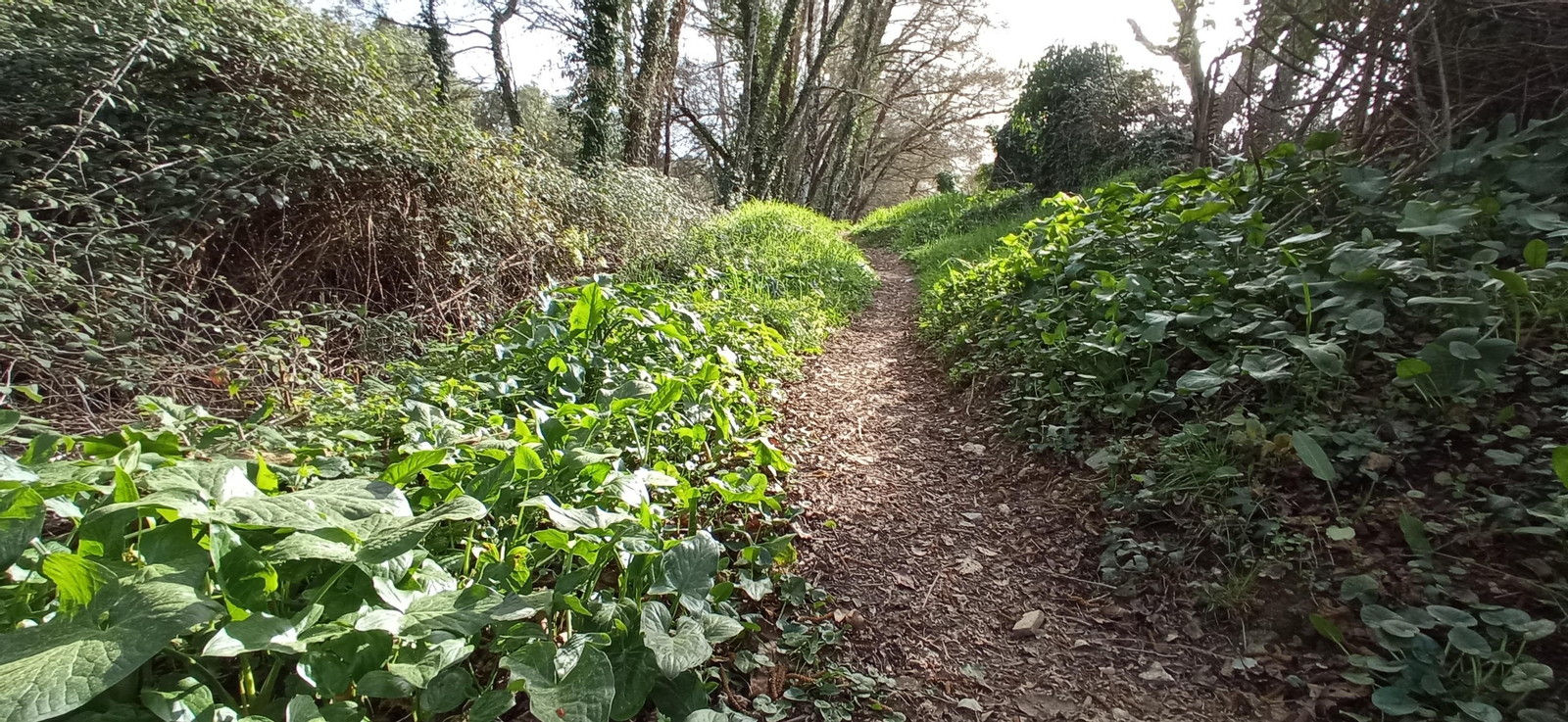Las imágenes de la ruta de la Dehesa de Valdelama: De Los Marines a Fuenteheridos y vuelta