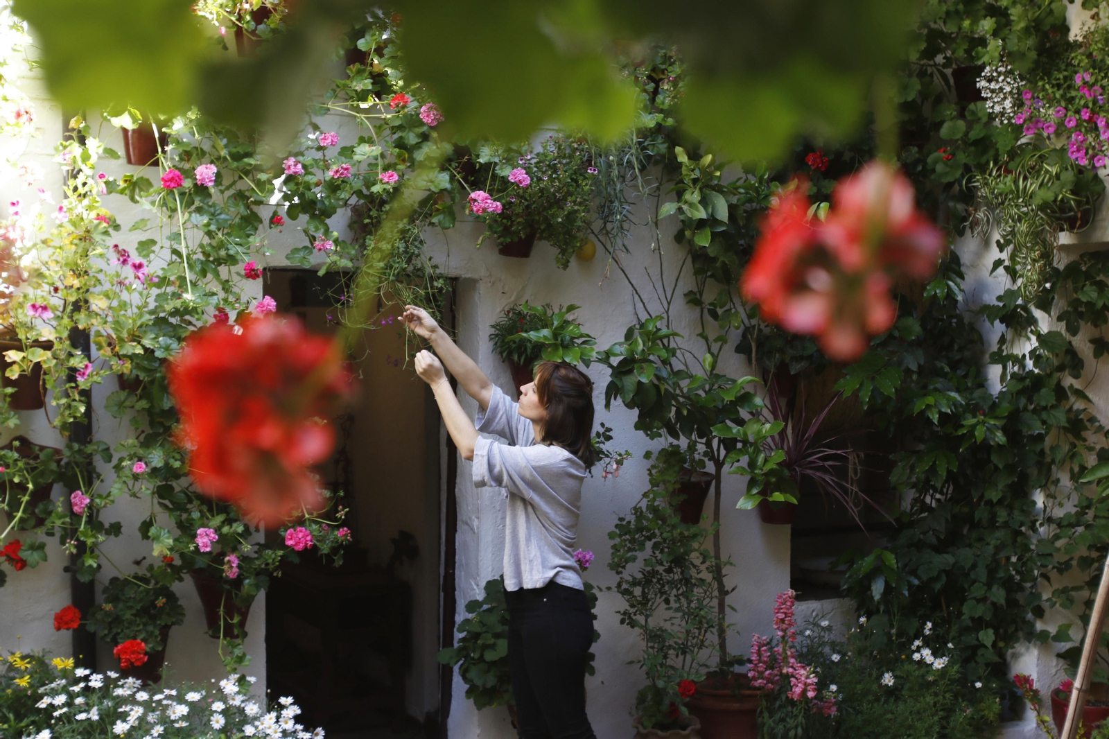 Las fotos del patio de San Basilio, 14 en tiempos de crisis