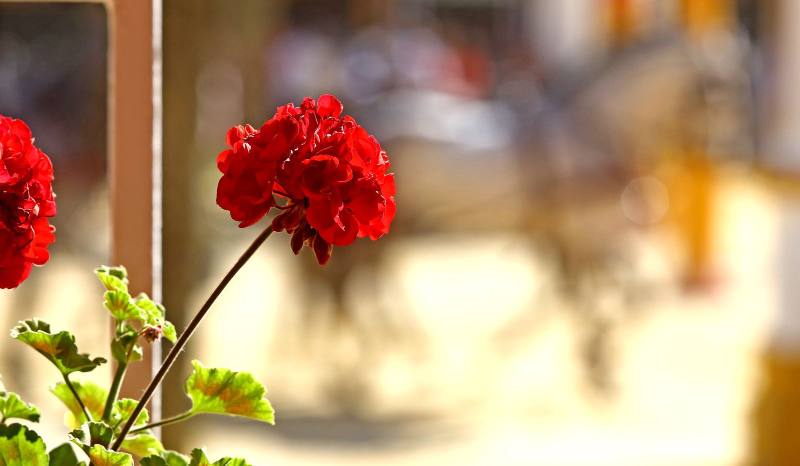 Así fue la última Feria del Caballo que se pudo celebrar