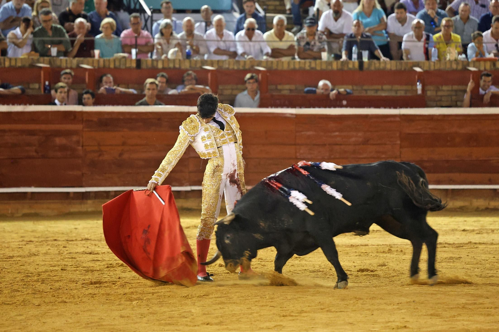 Toros La Merced 2025: Imágenes de la Novillada de Javier Zulueta, Cristian González y Carlos Tirado