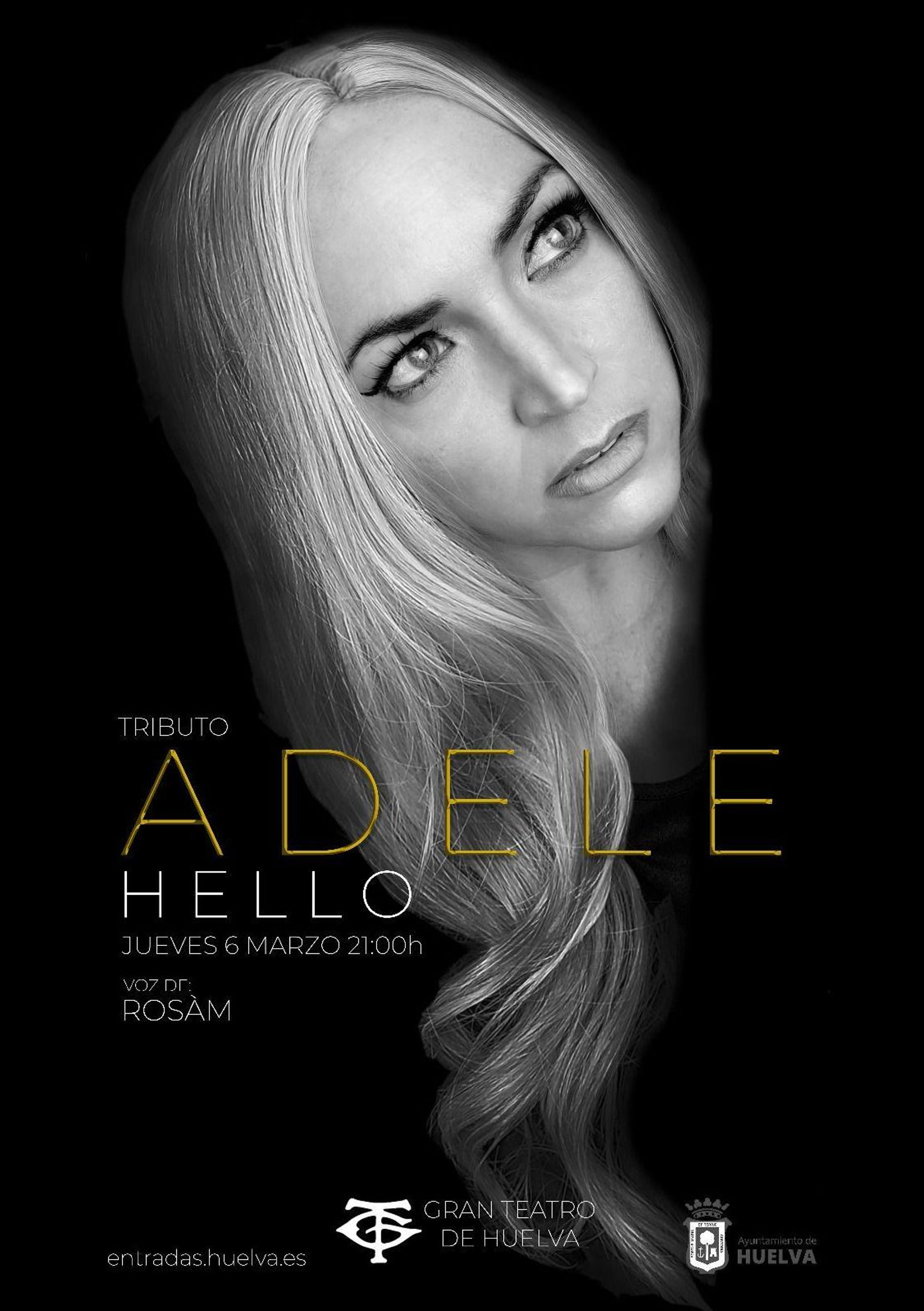 Cartel del concierto.