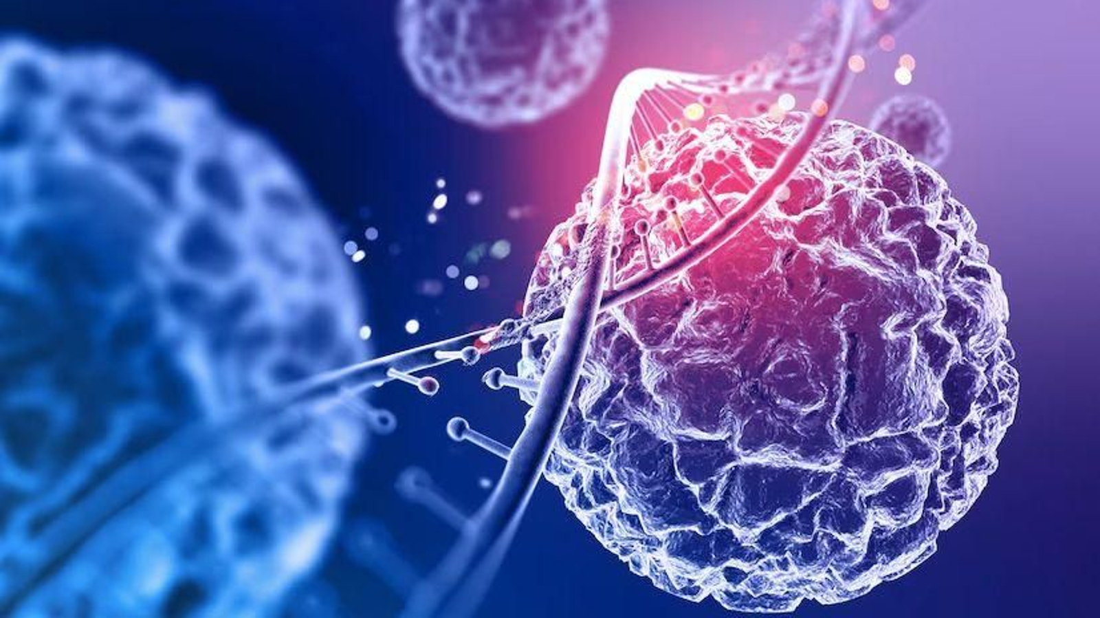 La molécula de la juventud? Así actúan los suplementos NAD en tu cuerpo