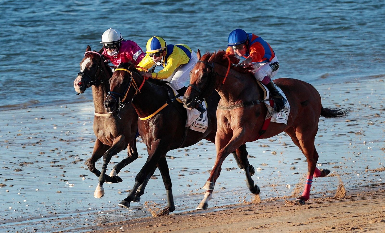 El segundo ciclo comienza este miércoles en las playas sanluqueñas.