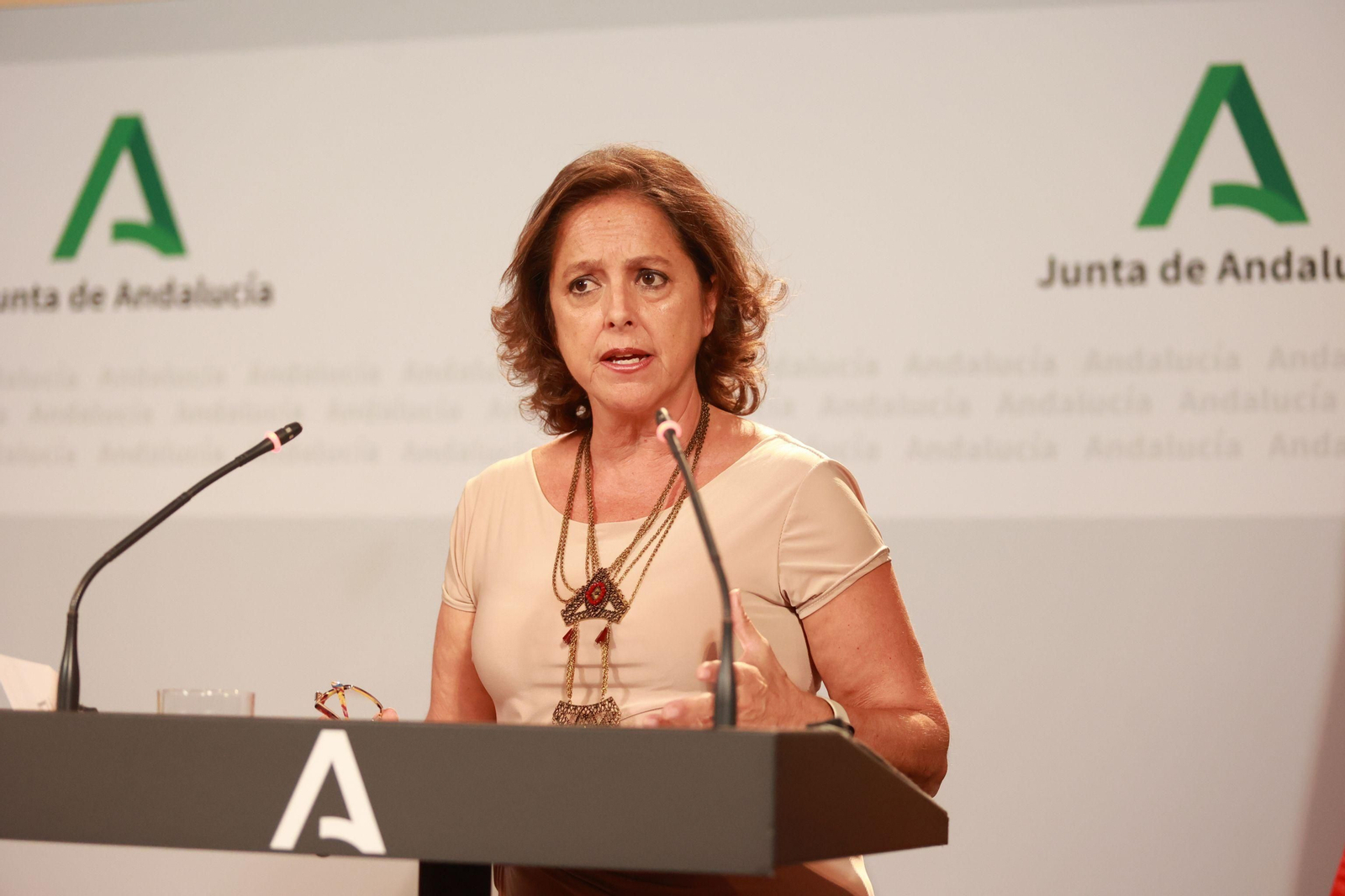 La consejera de Salud, Catalina García, tras el último Consejo de Gobierno.