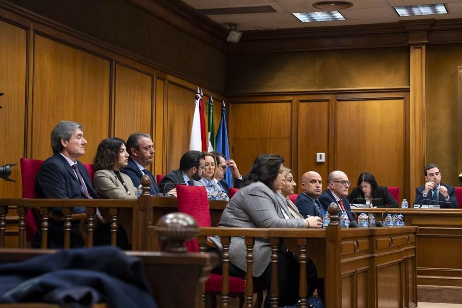 Las imágenes del primer pleno en Diputación sin Javier Aureliano García