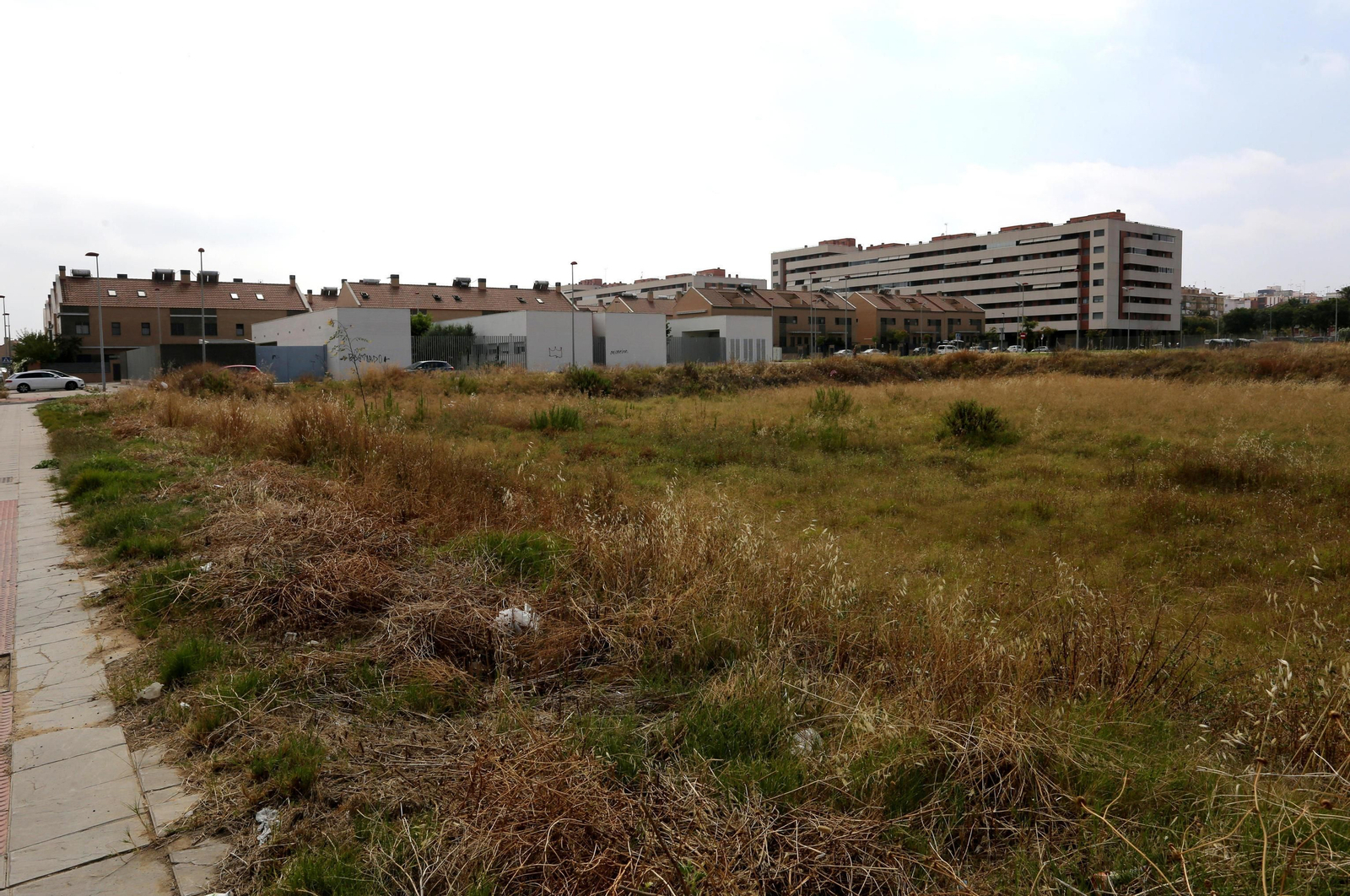 Terrenos en los que se ubicarán las viviendas de nueva edificación.