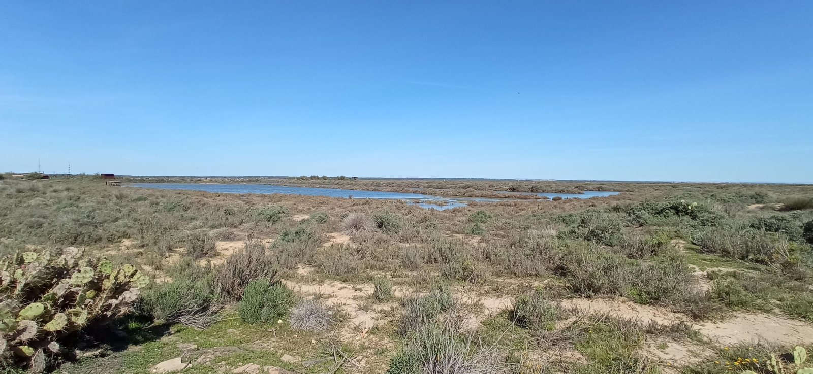Las imágenes de la ruta de las salinas del Astur y los pinares de Punta Umbría
