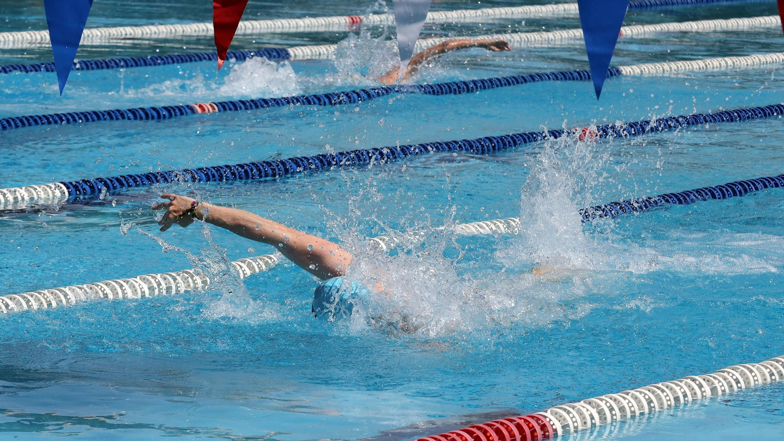 Imágenes del 55 aniversario de la Natación en Jerez