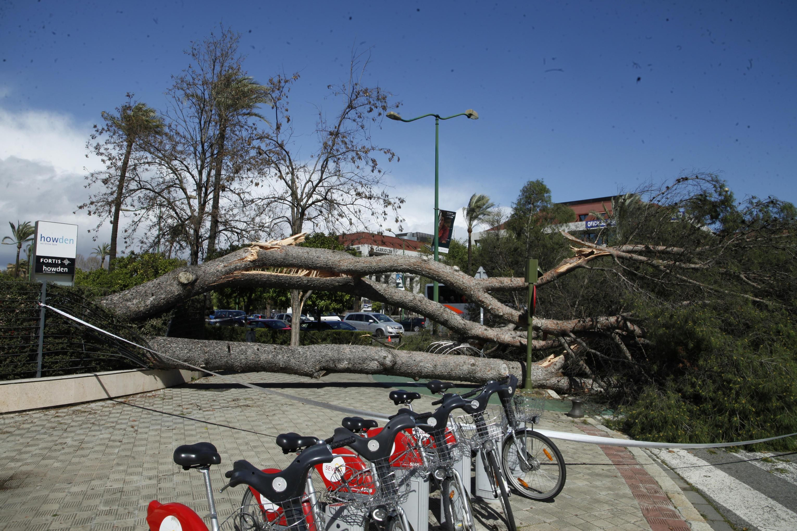 Las imágenes de los daños del viento en Sevilla