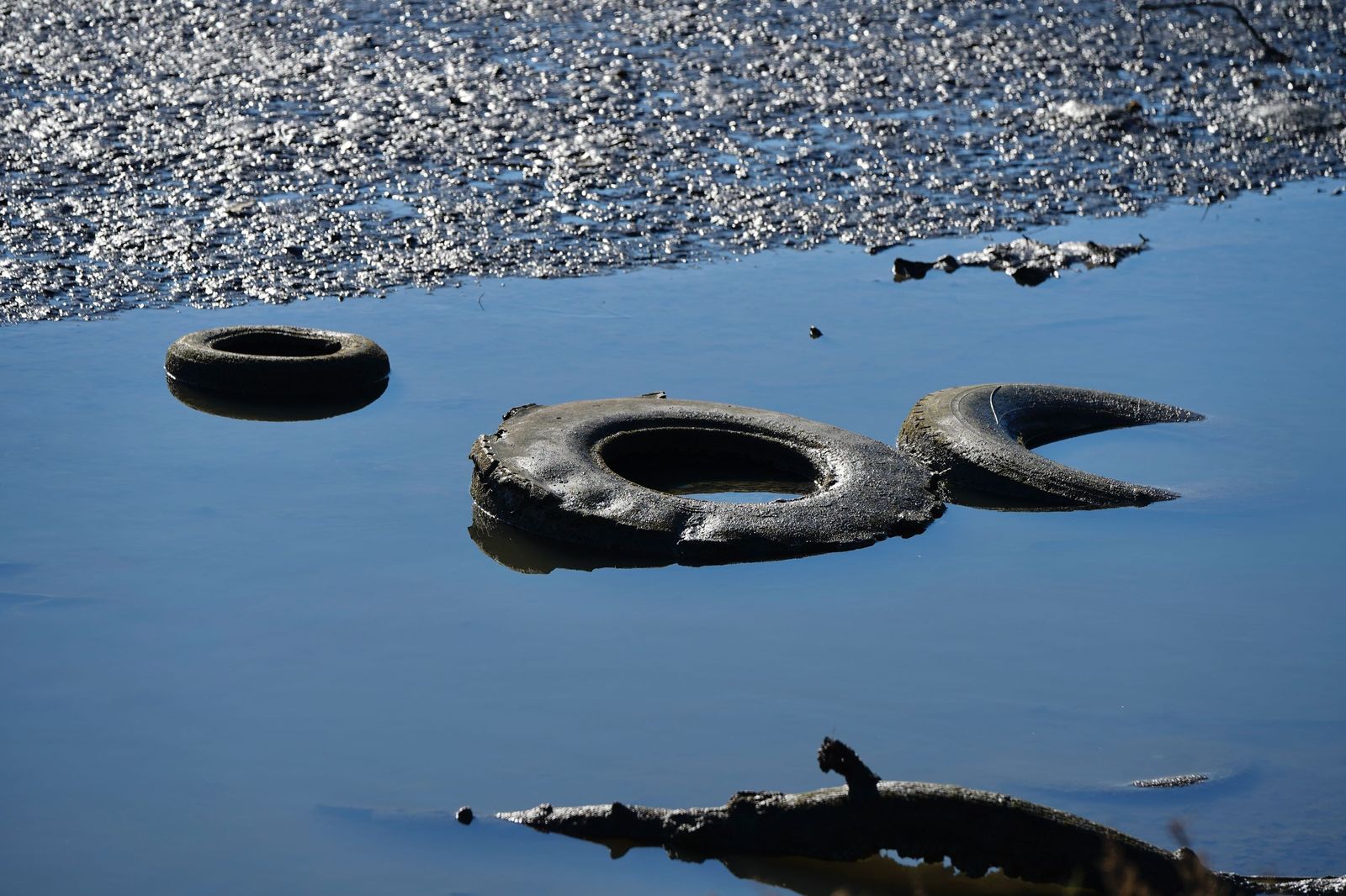 Fotos de la contaminación en el paraje natural marismas del Río Palmones