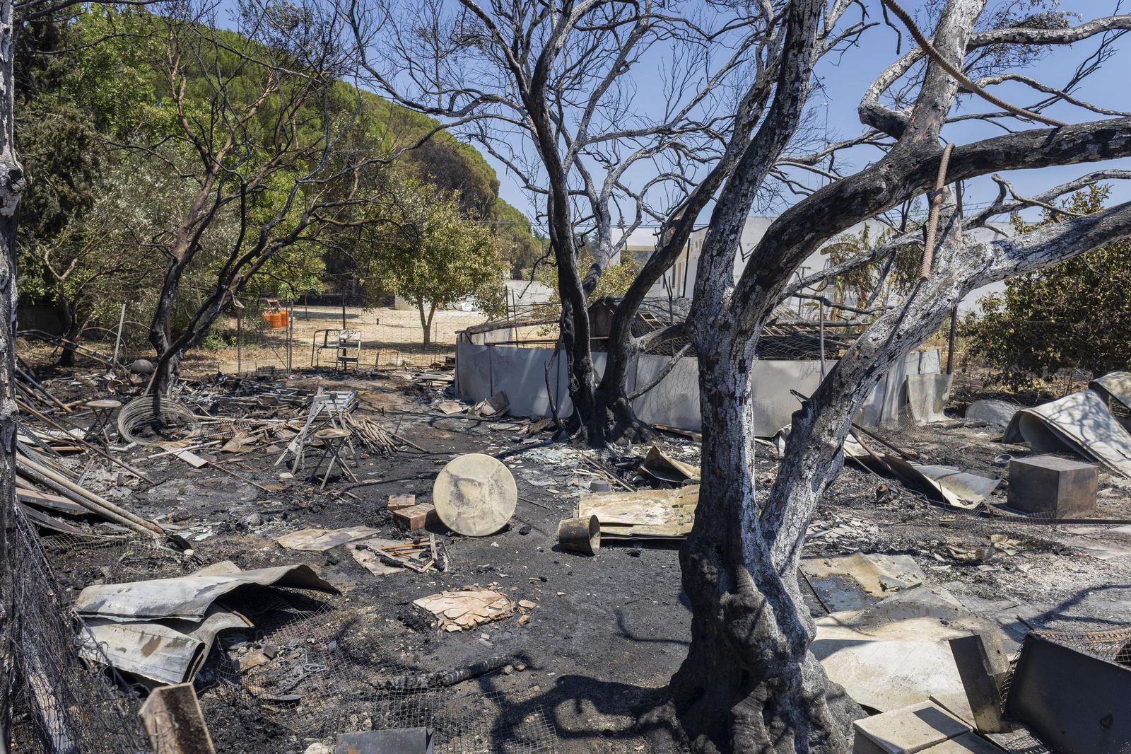 Las imágenes del incendio declarado junto a Roche, en Conil