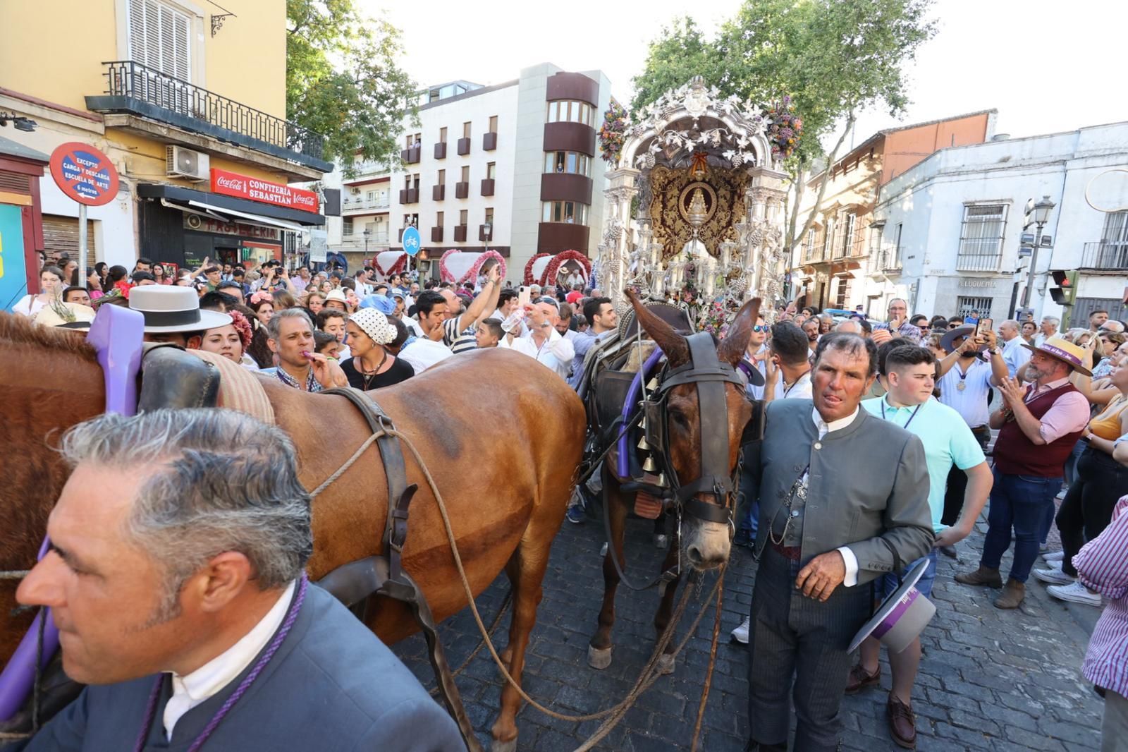 La Hermandad del Rocío de Jerez, entrando en la ciudad en su regreso