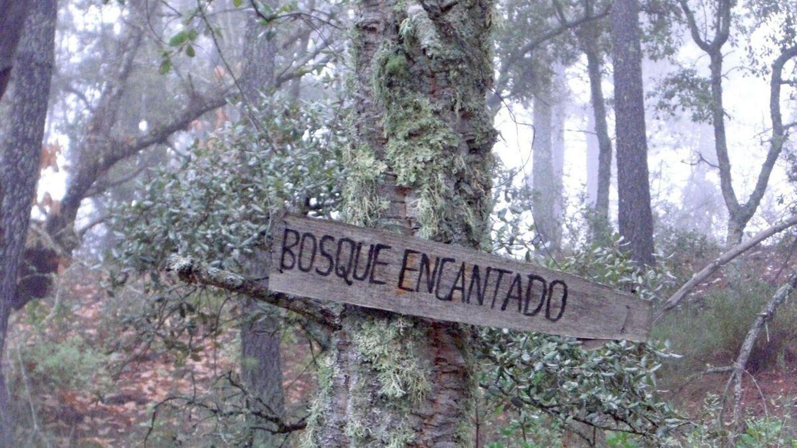 El Bosque Encantado