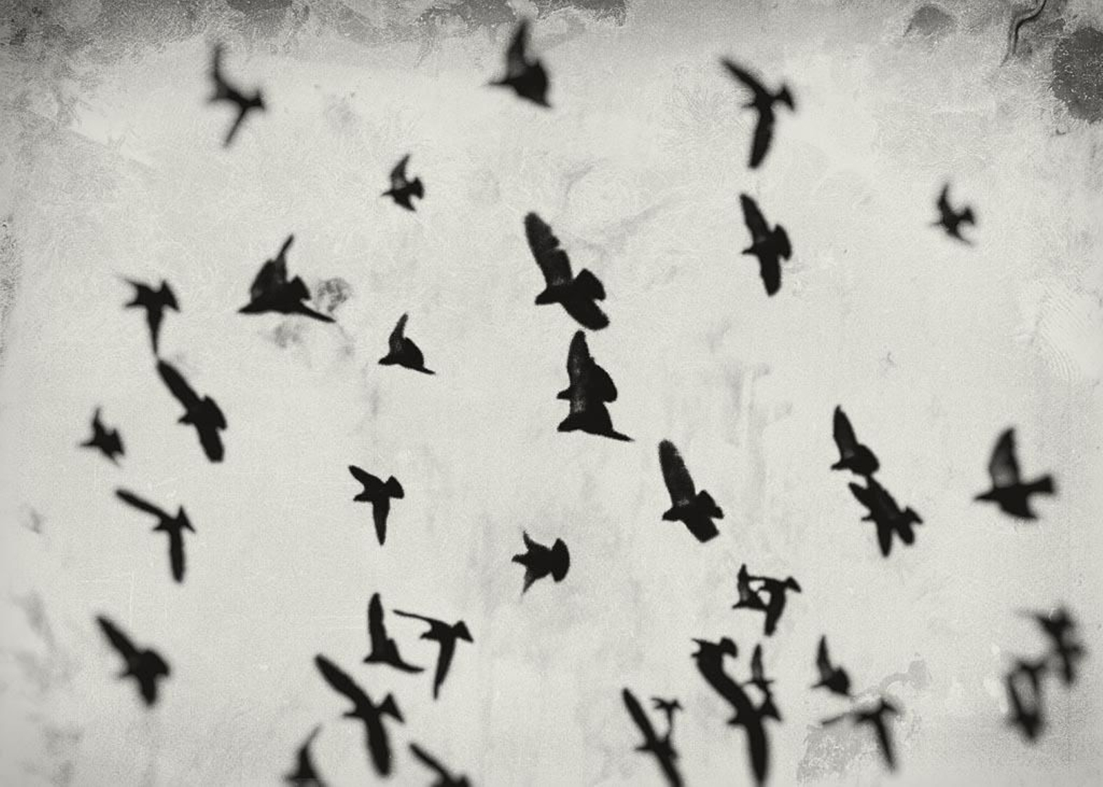 Üna de las fotografías realizadas por Javier Blanco que se exponen en el CAF.