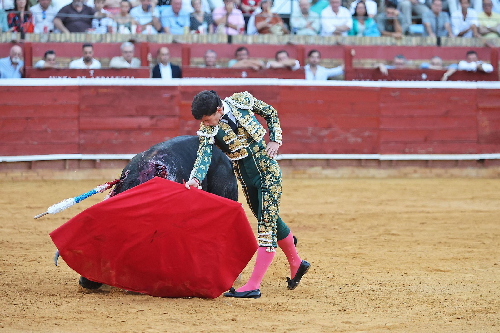 Toros La Merced 2024 Novillada con picadores(