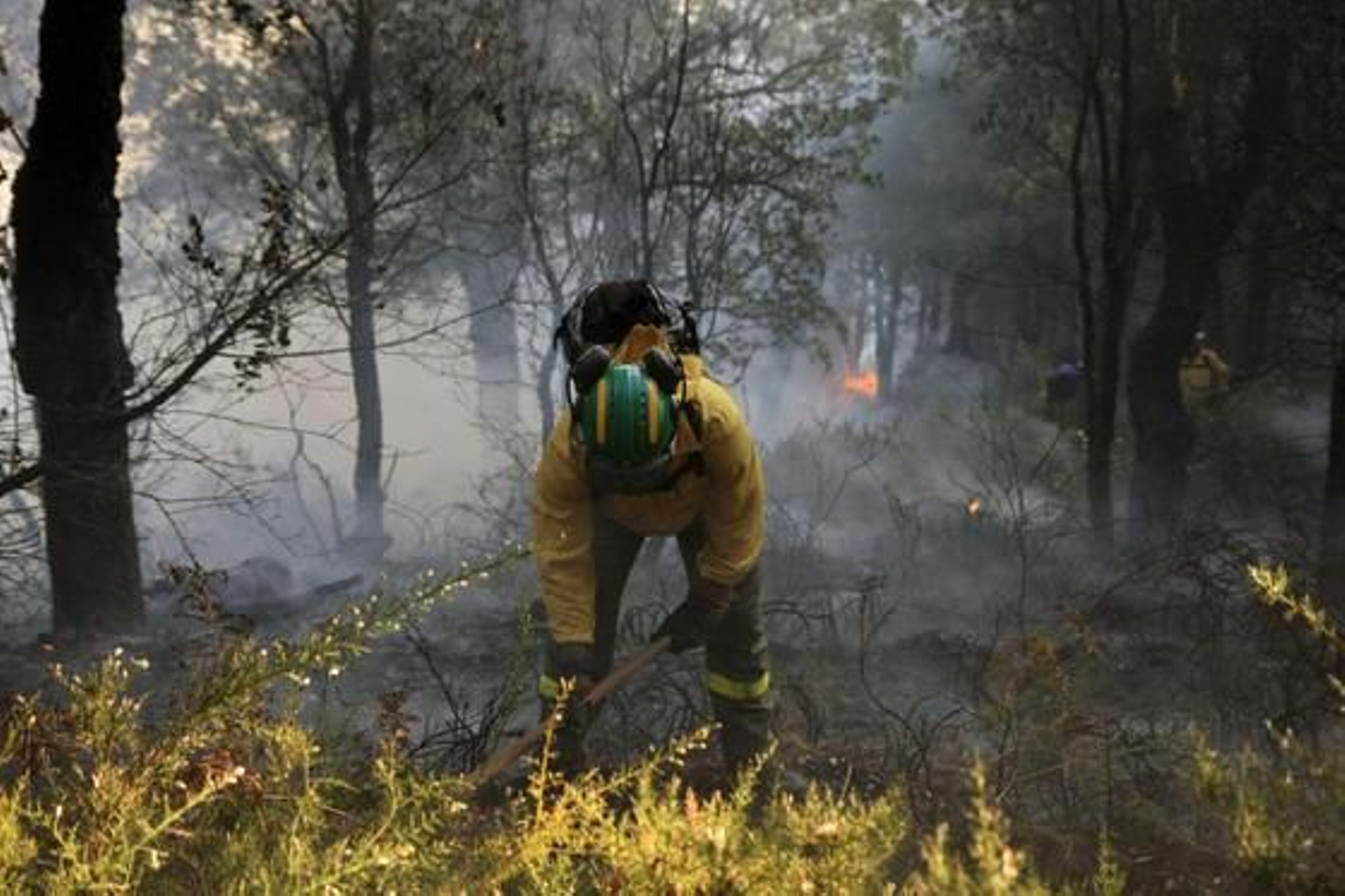 Un miembro del Infoca con las llamas a sus espaldas

Foto: Javier Flores