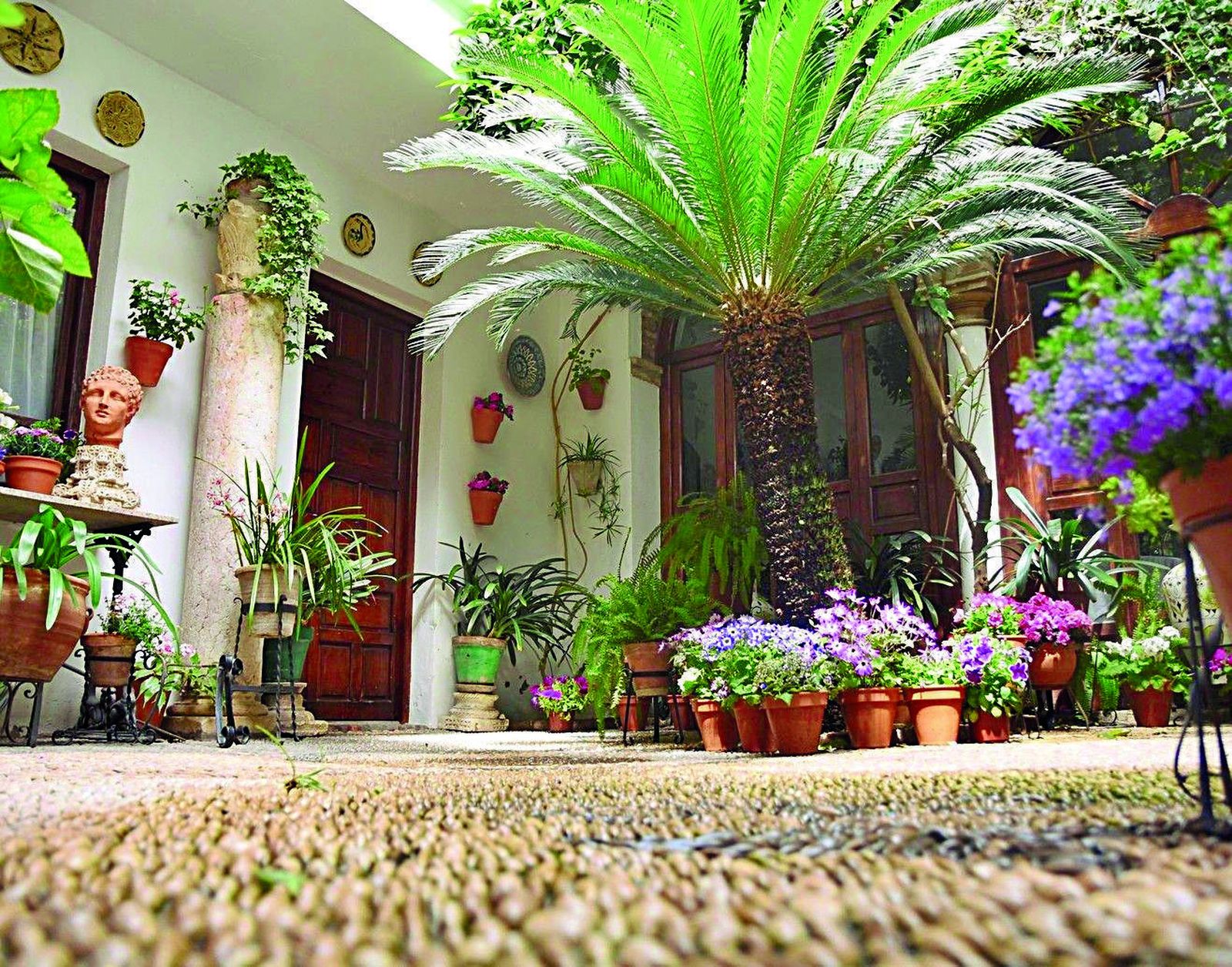 Guía de los Patios: Maese Luis, 3