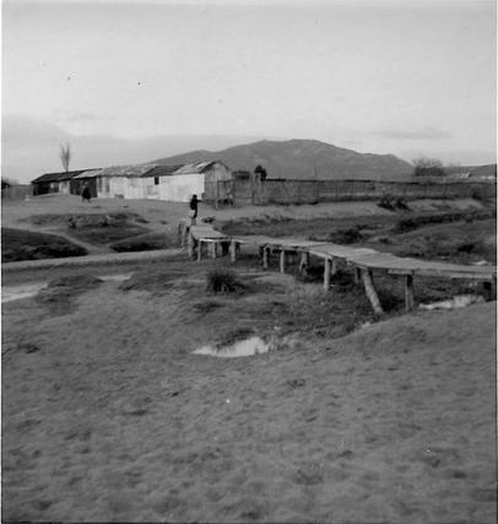 Foto: Grupo de Facebook La L?a en Blanco y Negro