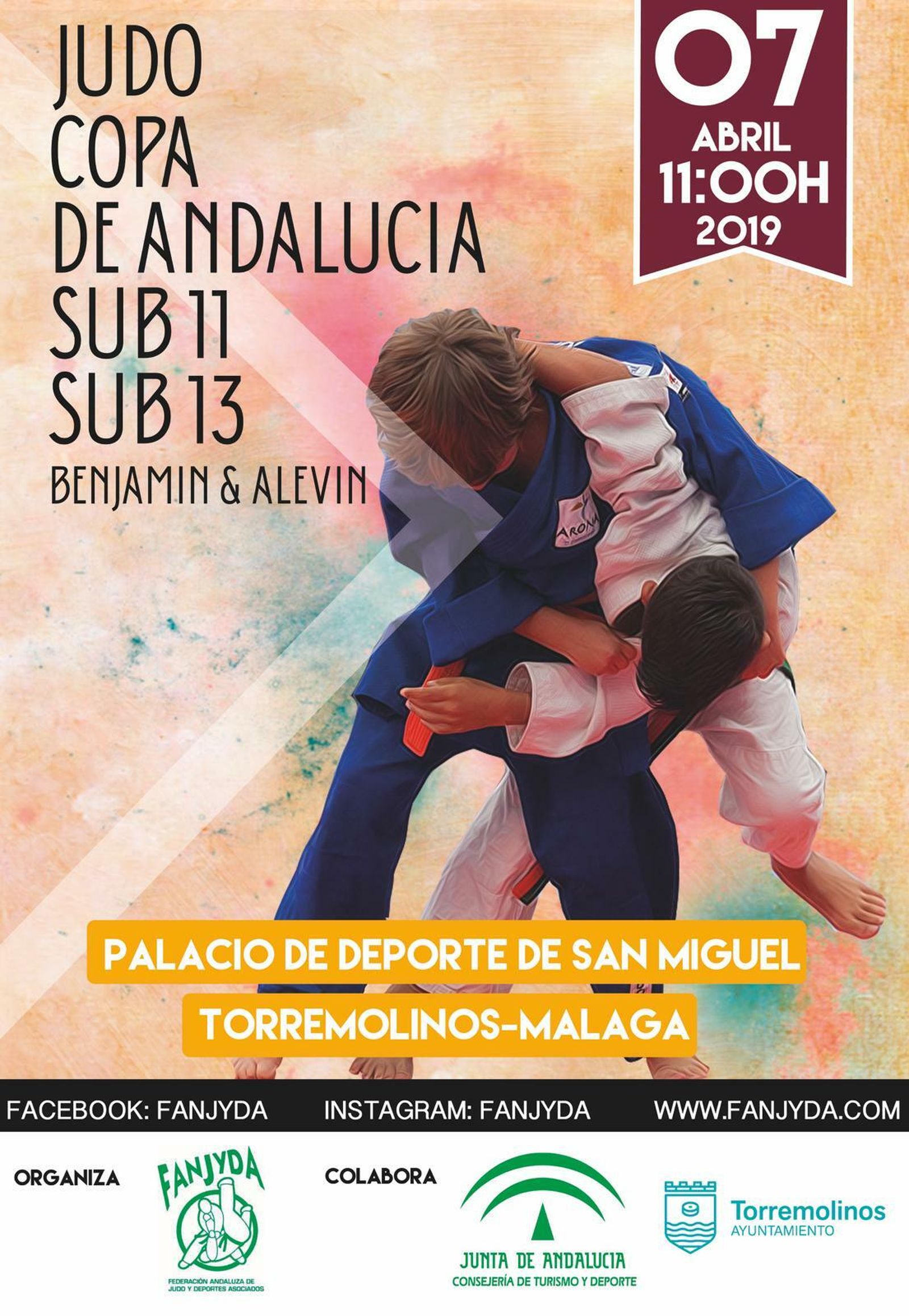 Torremolinos coge la XI Copa de Andalucía de Judo benjamín y alevín