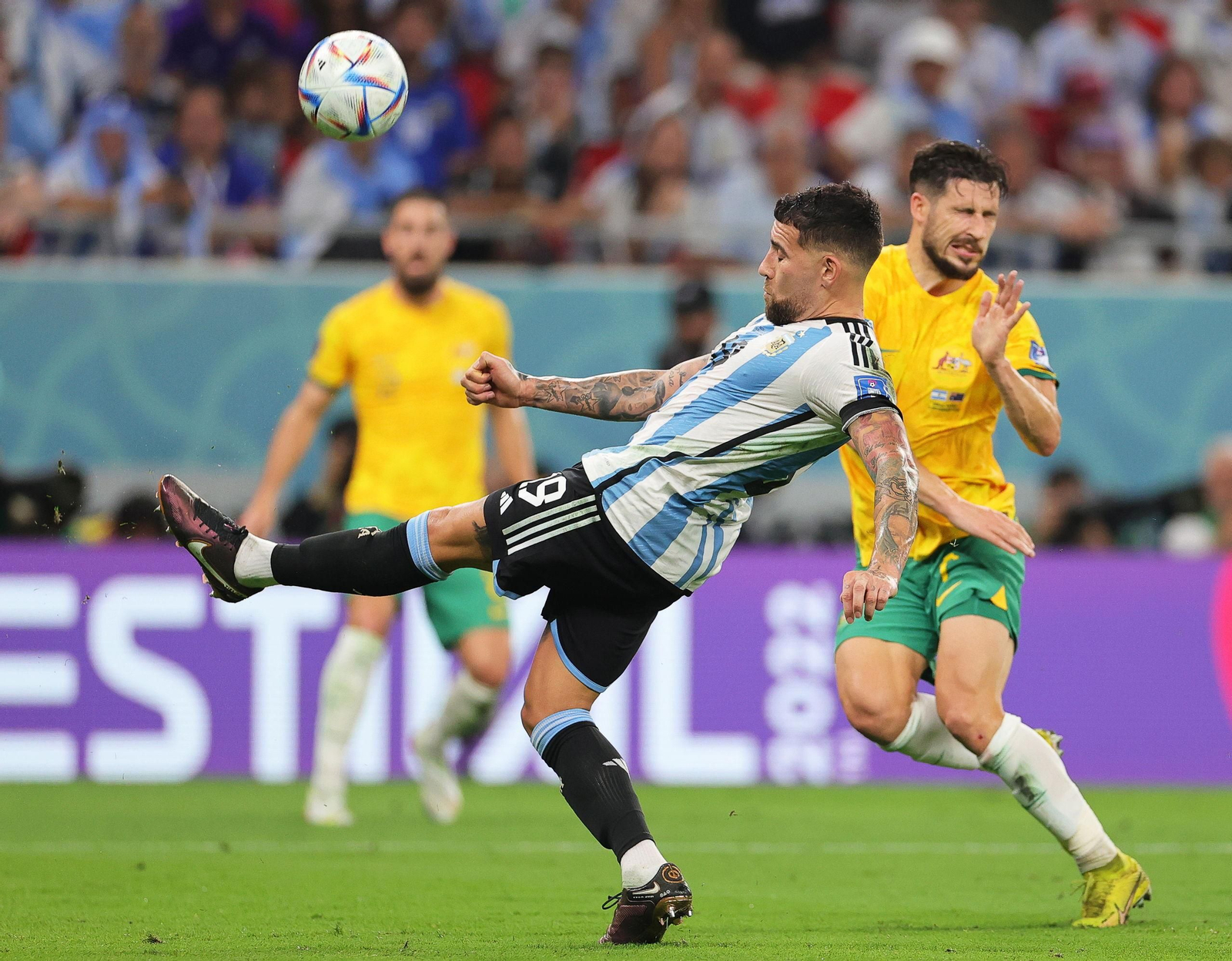 Las fotos del Argentina - Australia