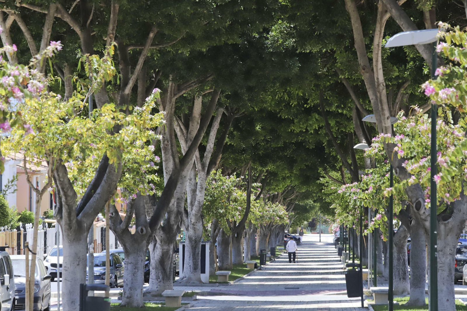 La foto del distrito Puerto de la Torre
