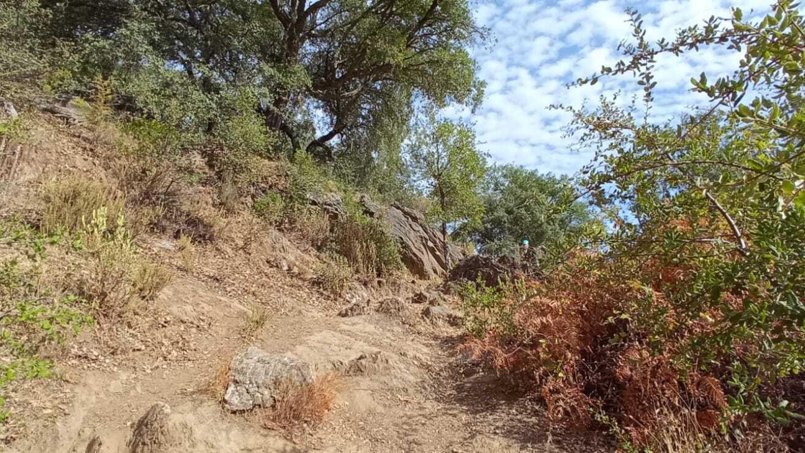 Las imágenes de la circular de Las Laderas de Cazalla