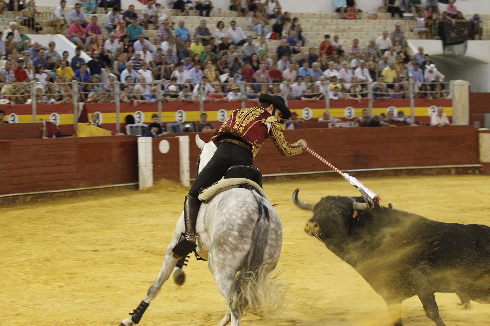 Fotogalería corrida de rejones. Feria de Almería 2019