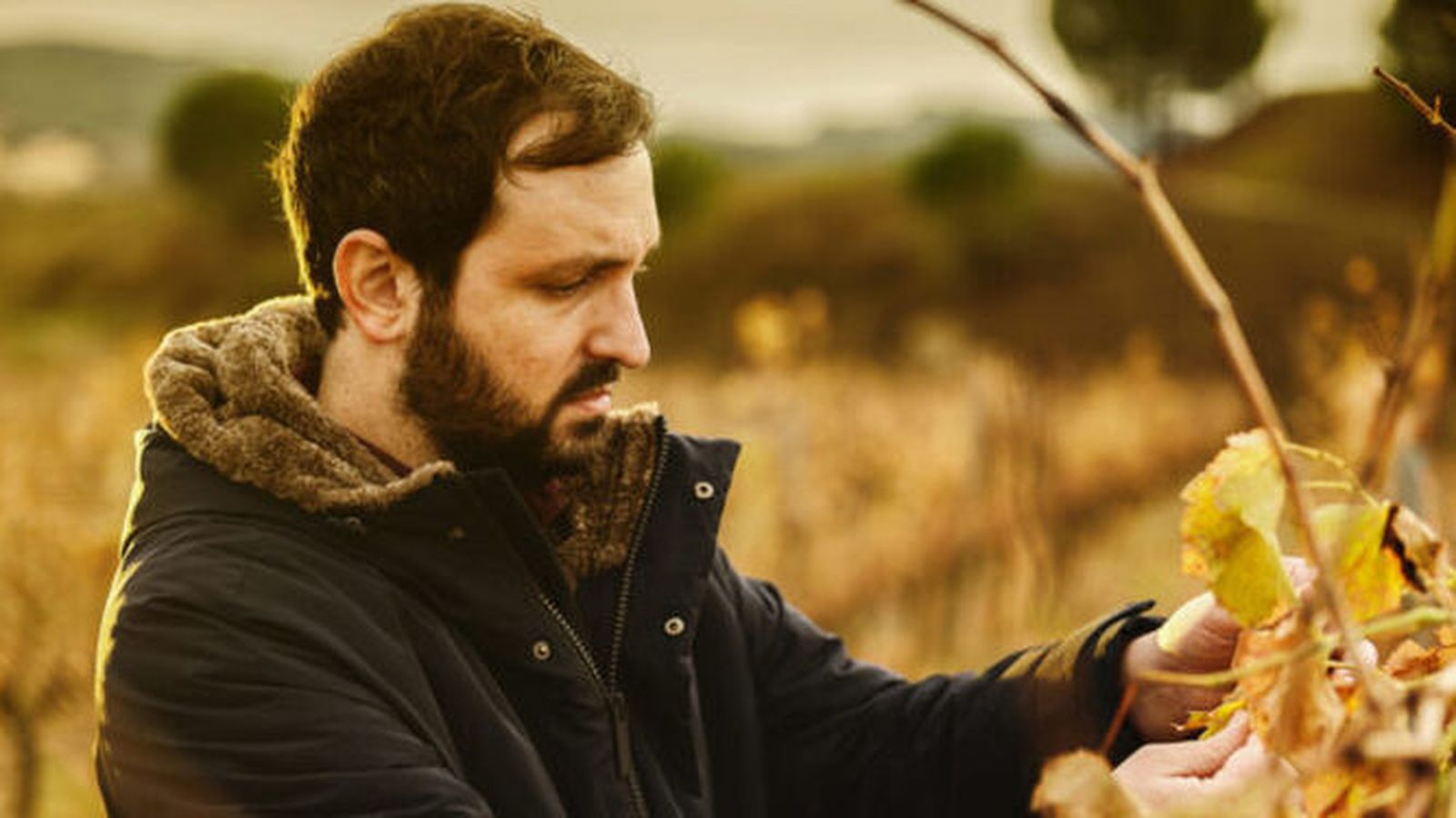 El pianista y compositor Lluís Capdevila.