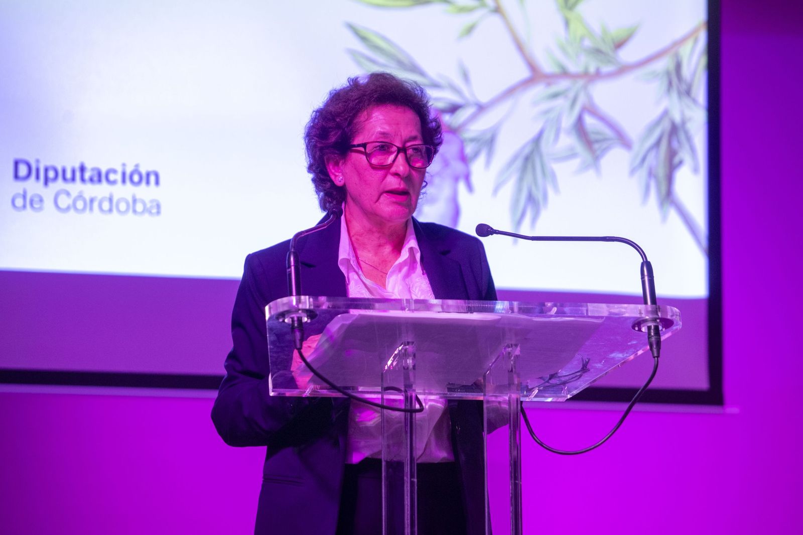 Entrega de los Premios Córdoba en Igualdad 2026