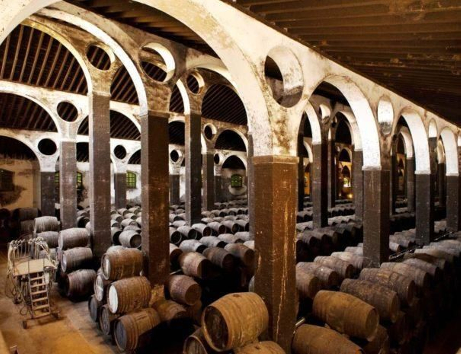 Bodegas Barbadillo/ Catedrales del Marco de Jerez