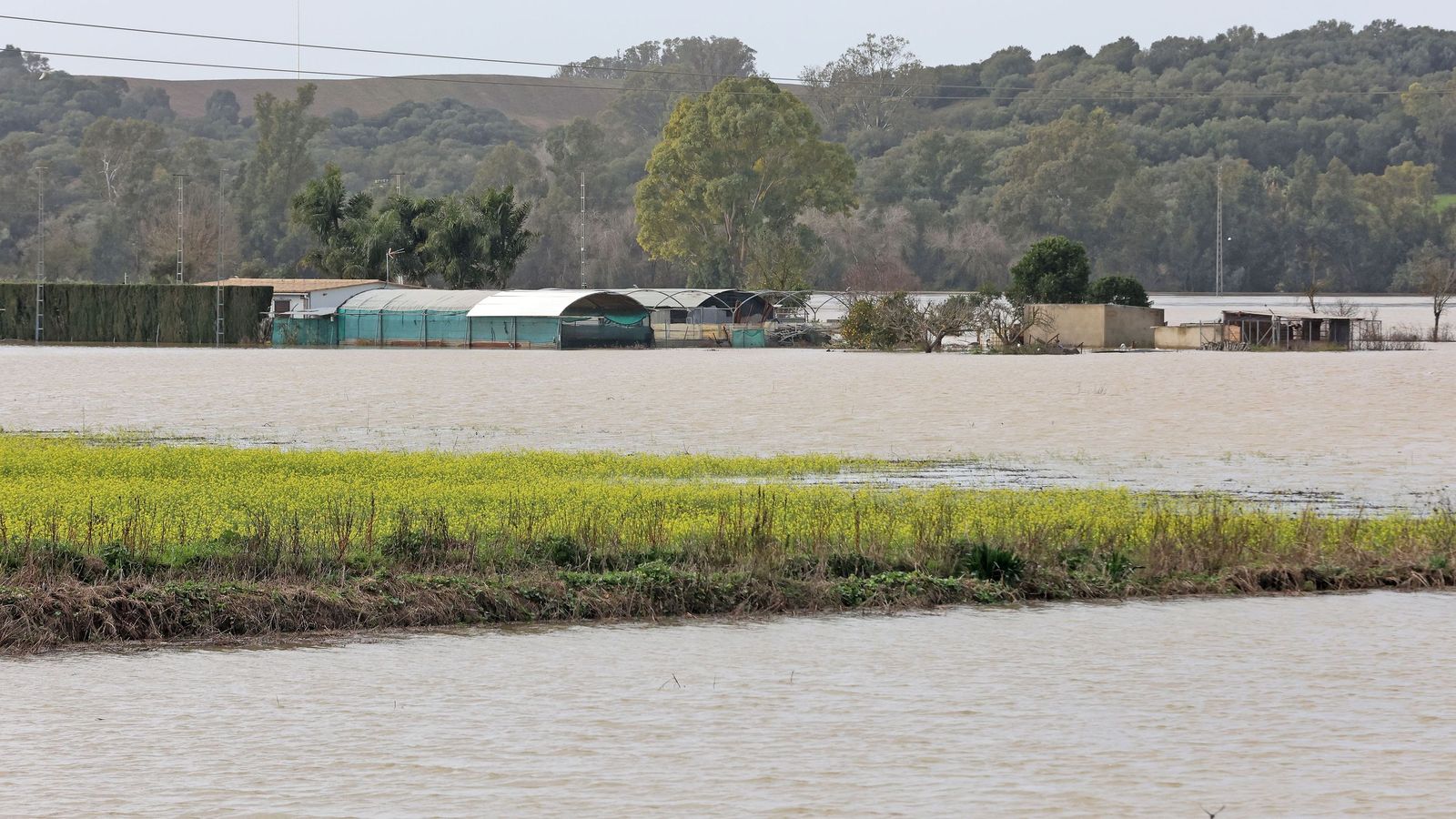 Así afronta la zona rural de Jerez la subida del río Guadalete