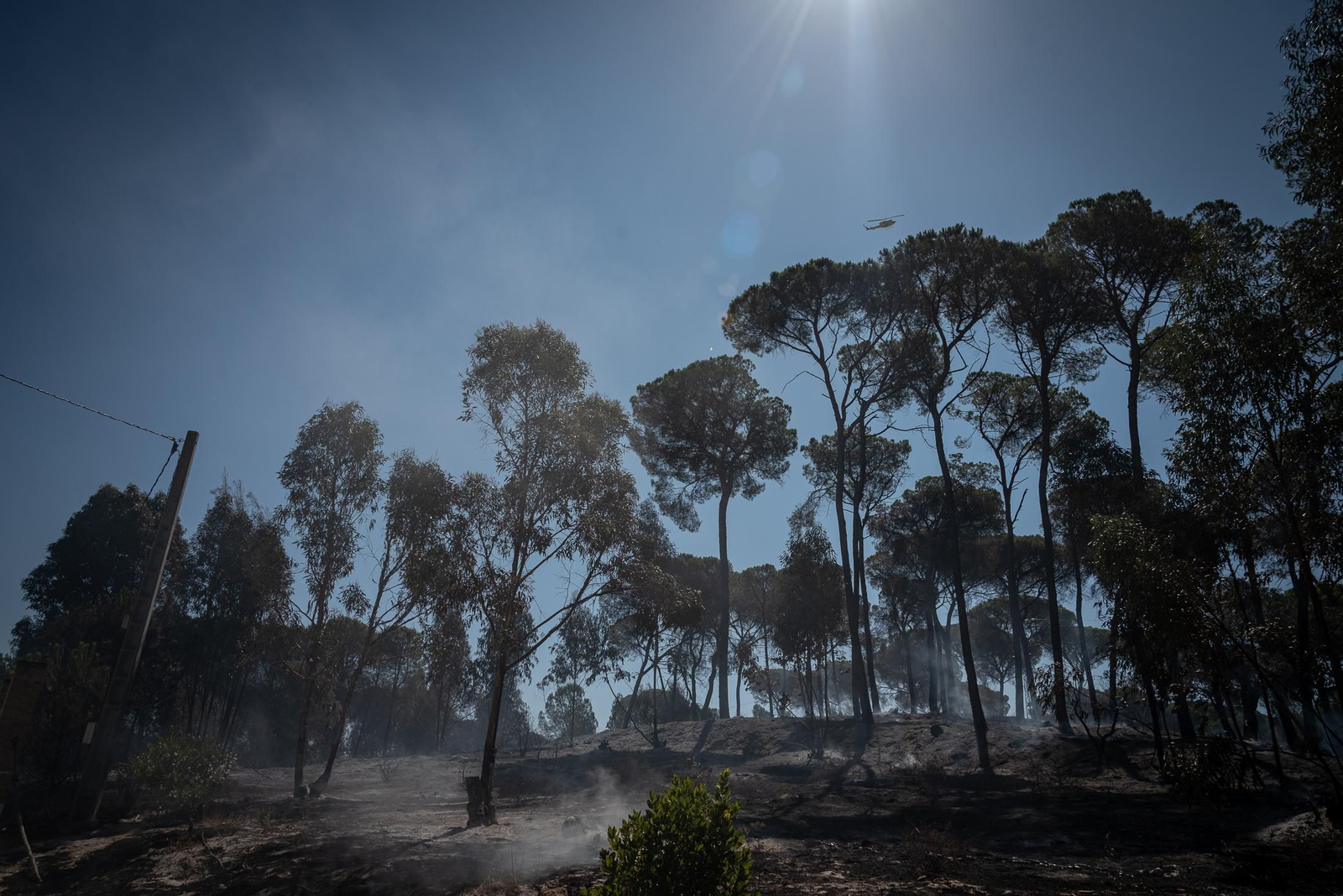 Imágenes de las labores de extinción del incendio de Bonares