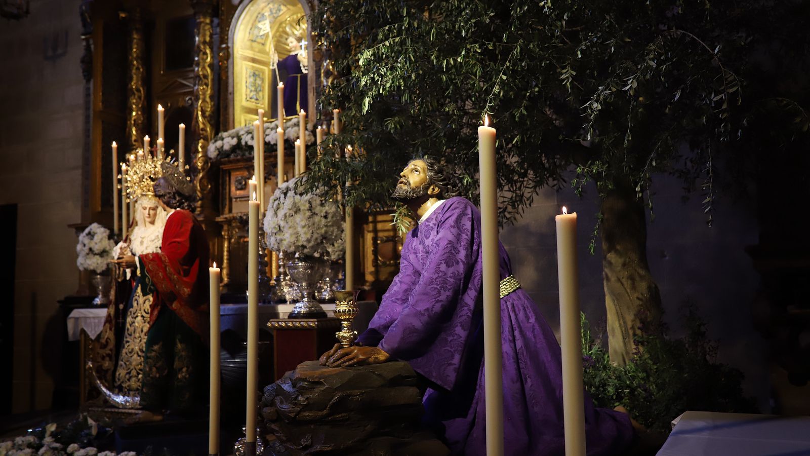 Jesús del Huerto bajo su tradicional olivo en Santo Domingo.
