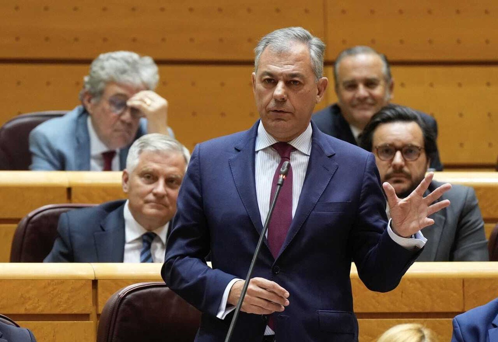 José Luis Sanz durante su intervención en el Senado.